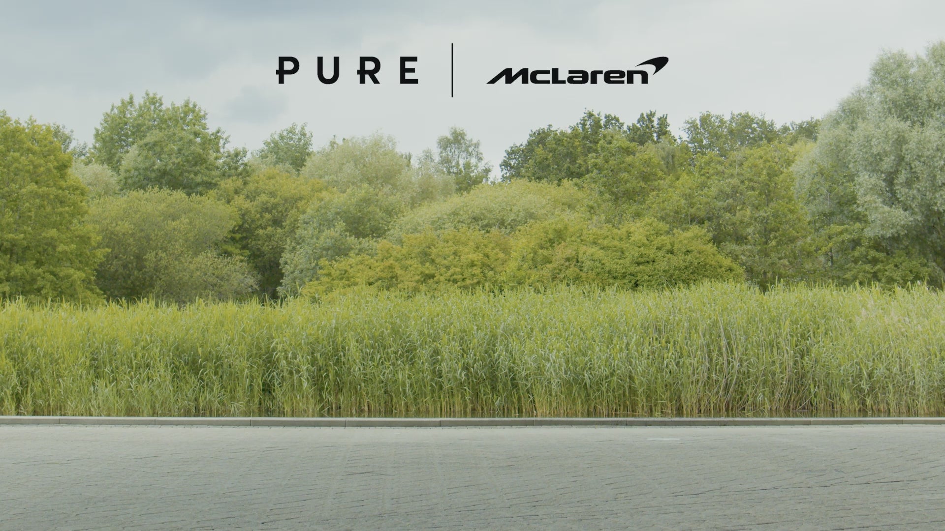 Naloži videoposnetek: 